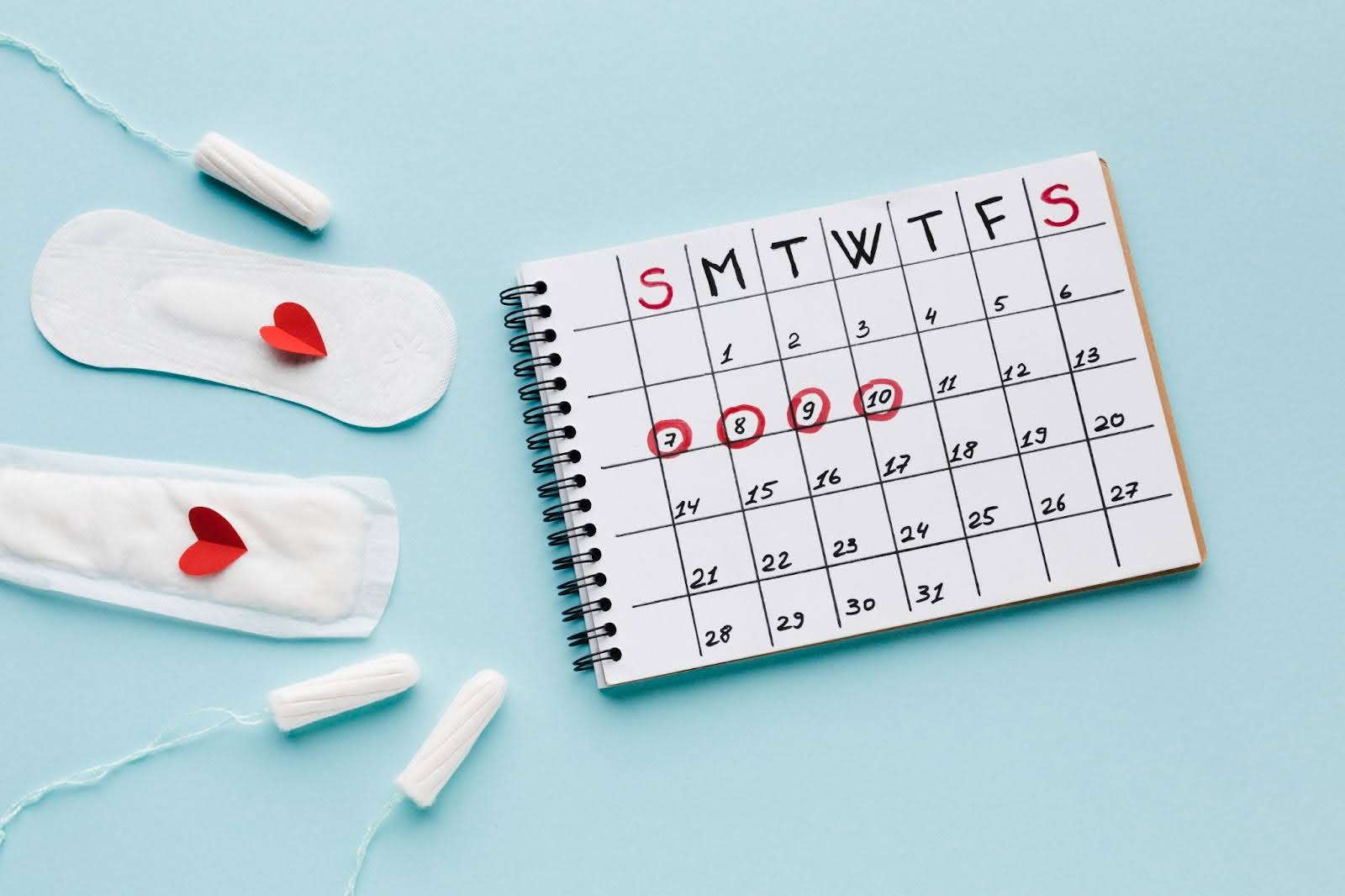 Menstrual Cycle with Tampons