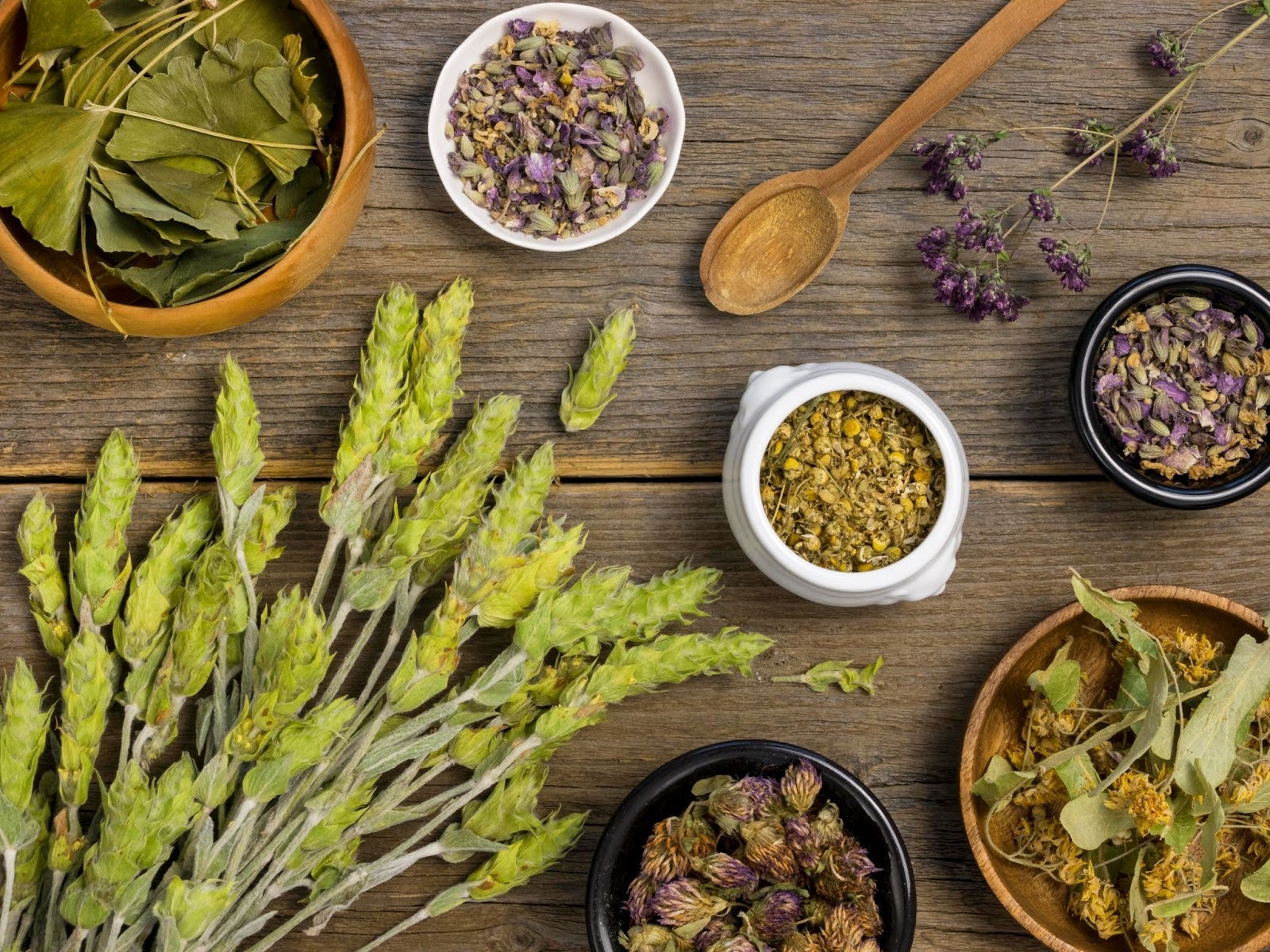 Top View Natural Herbal Medicine