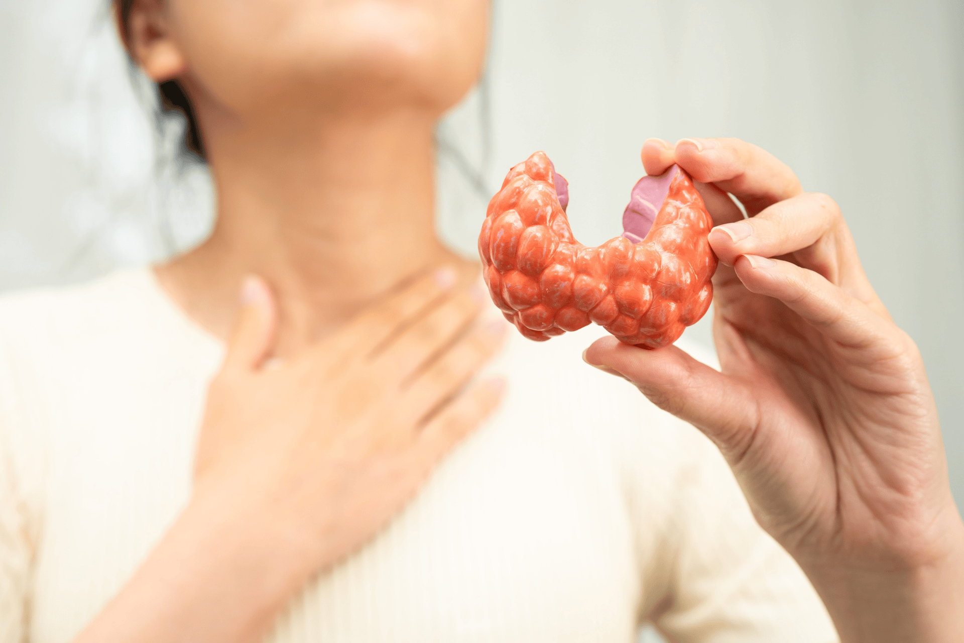 Close-up of a person holding a thyroid gland model while touching their neck.