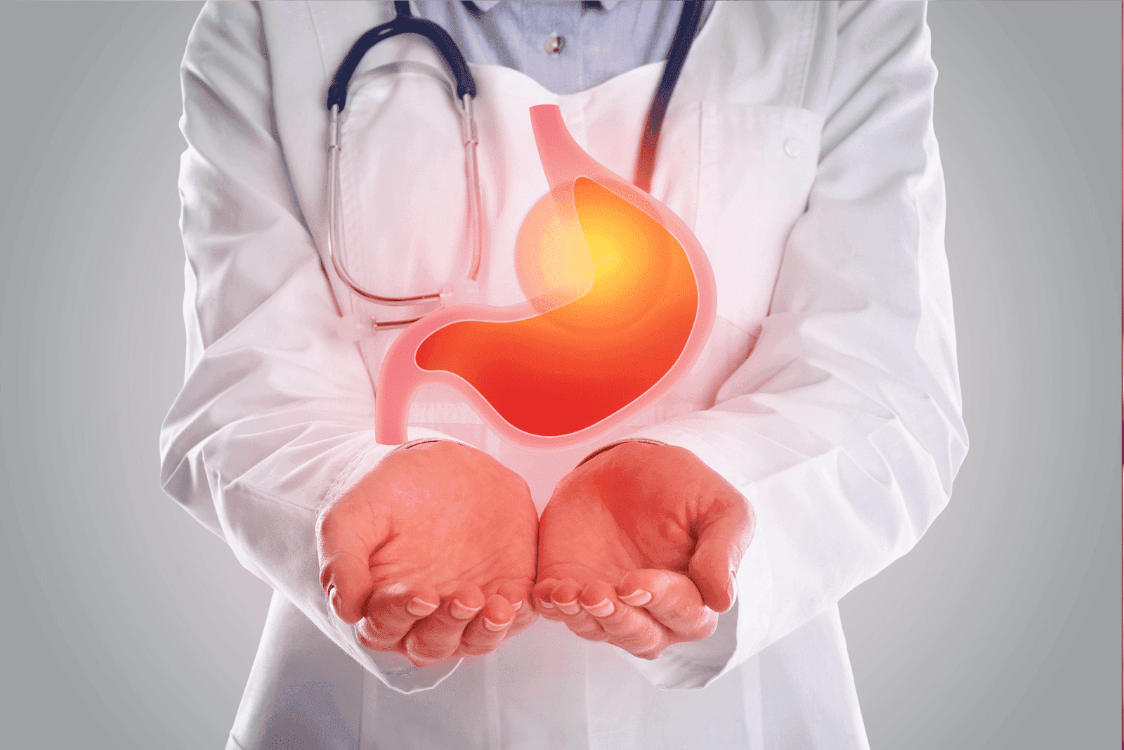 Doctor holding an illustrated image of a stomach.