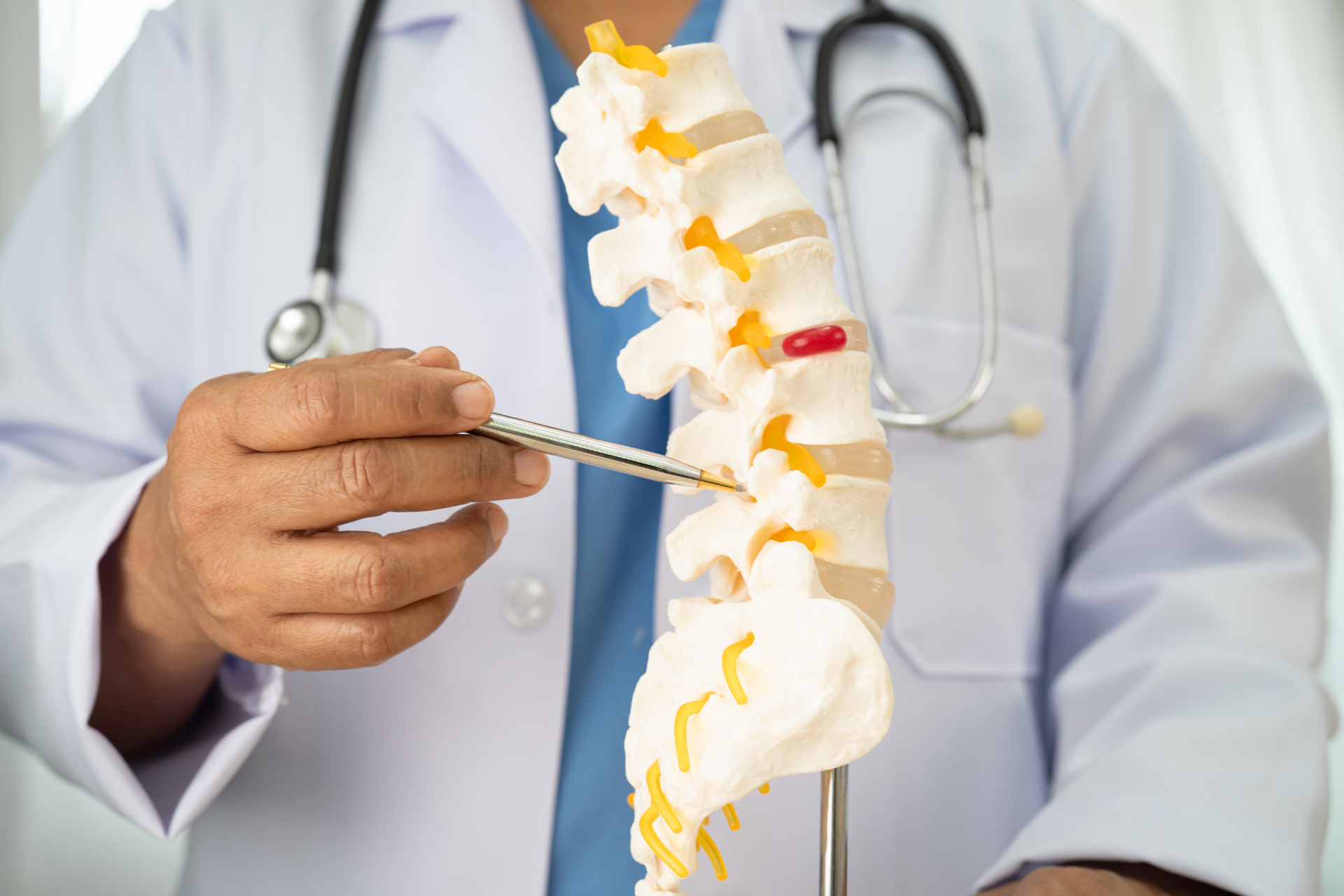 Doctor in a white coat points to a spine model with a pen, highlighting vertebrae and nerves during a medical explanation