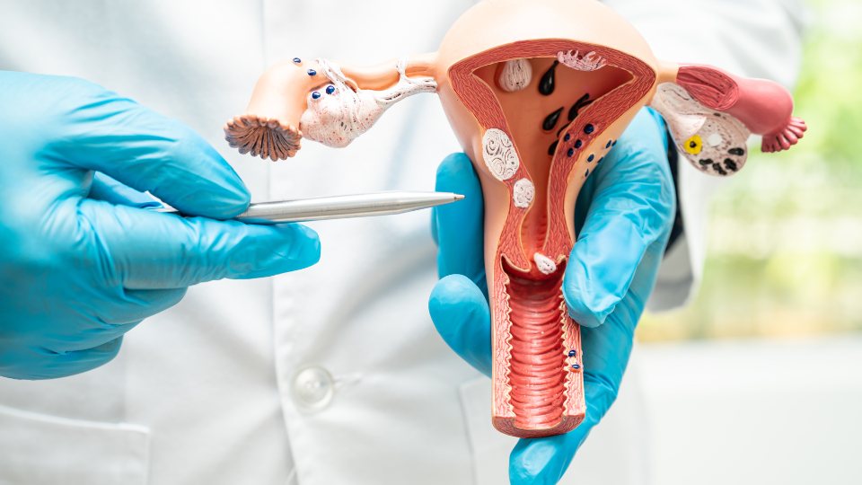 Can You Go to Urgent Care for Gynecological Issues?