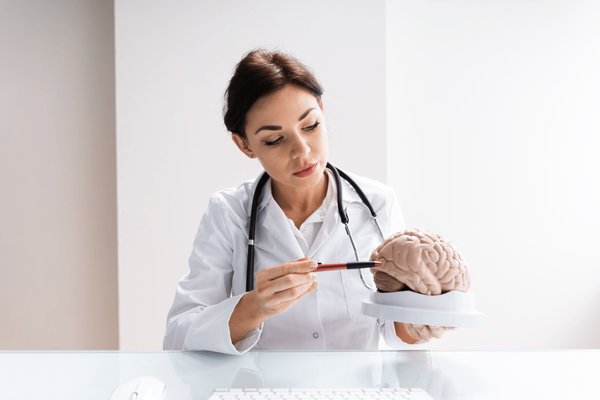 Doctor pointing at a model of a human brain with a pen during a consultation.