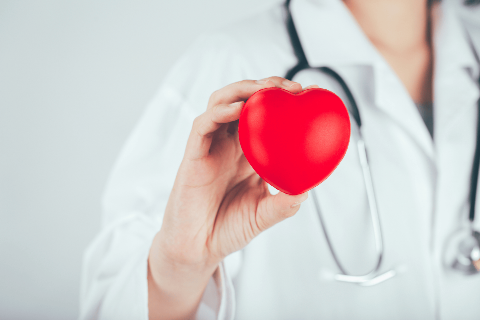 Doctor holding a red heart model symbolizing healthcare and cardiology.