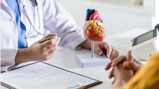 Doctor pointing to model of heart