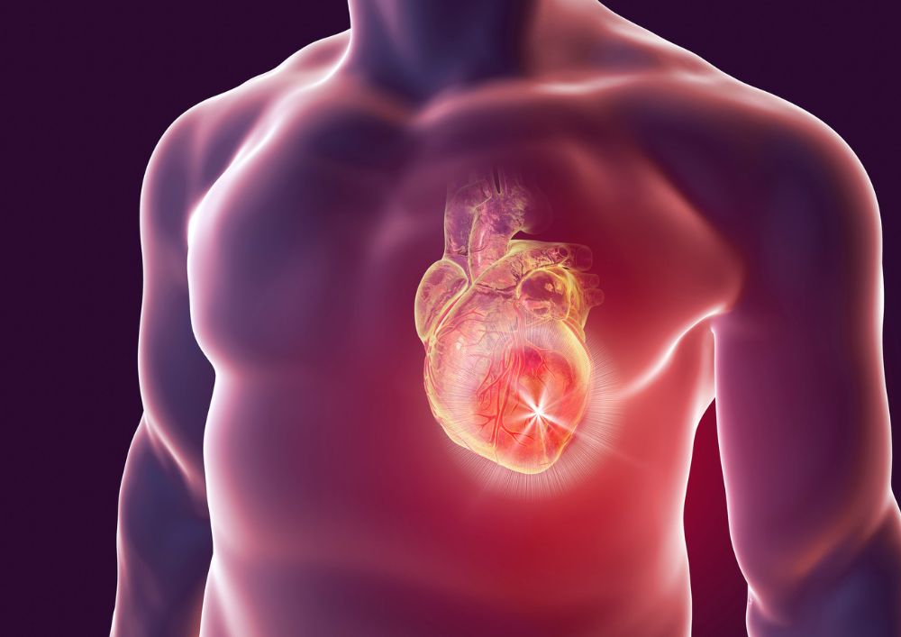 Ilustration of a heart