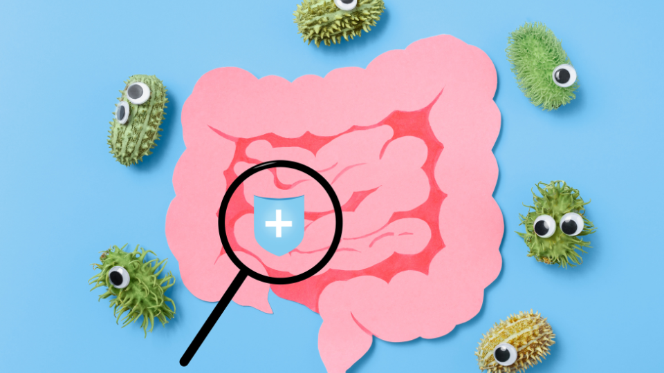 Illustration of intestines with bacteria around the intestines
