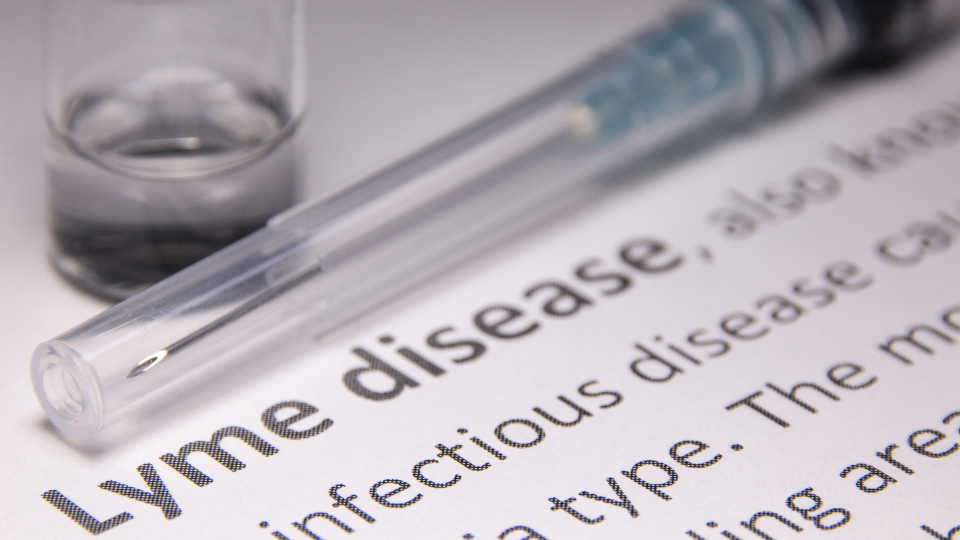 Paper explaining what lyme disease is