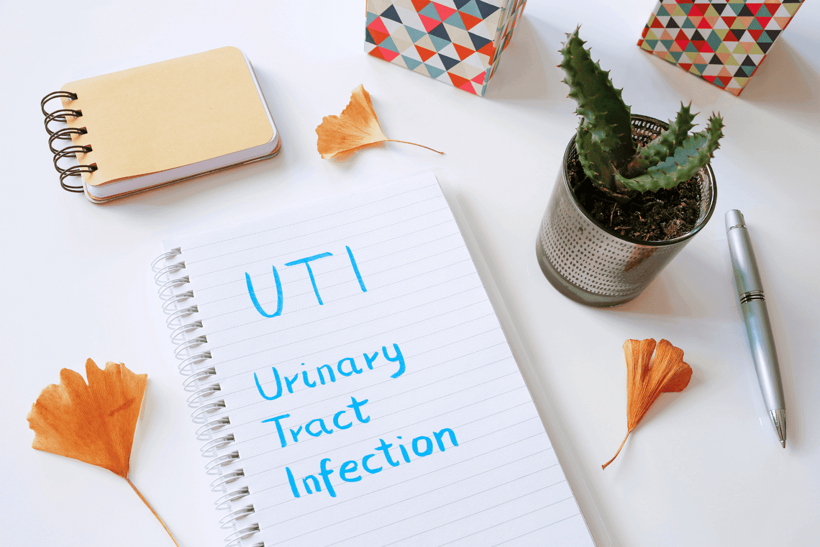 Notebook on a desk with “UTI Urinary Tract Infection” written on it, next to a pen and a small plant.