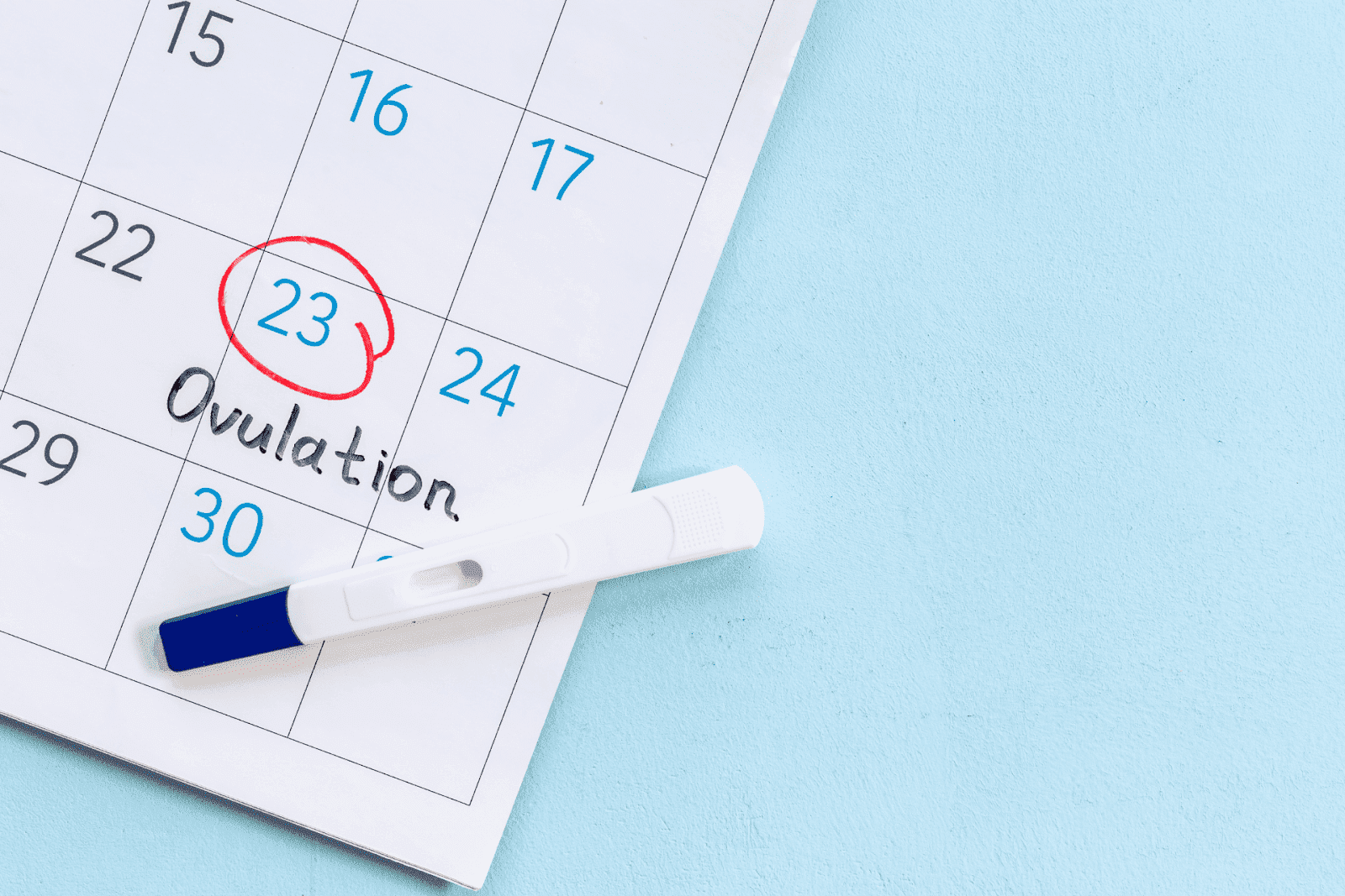 Ovulation test placed on a calendar with the 23rd circled in red and labeled “Ovulation.”