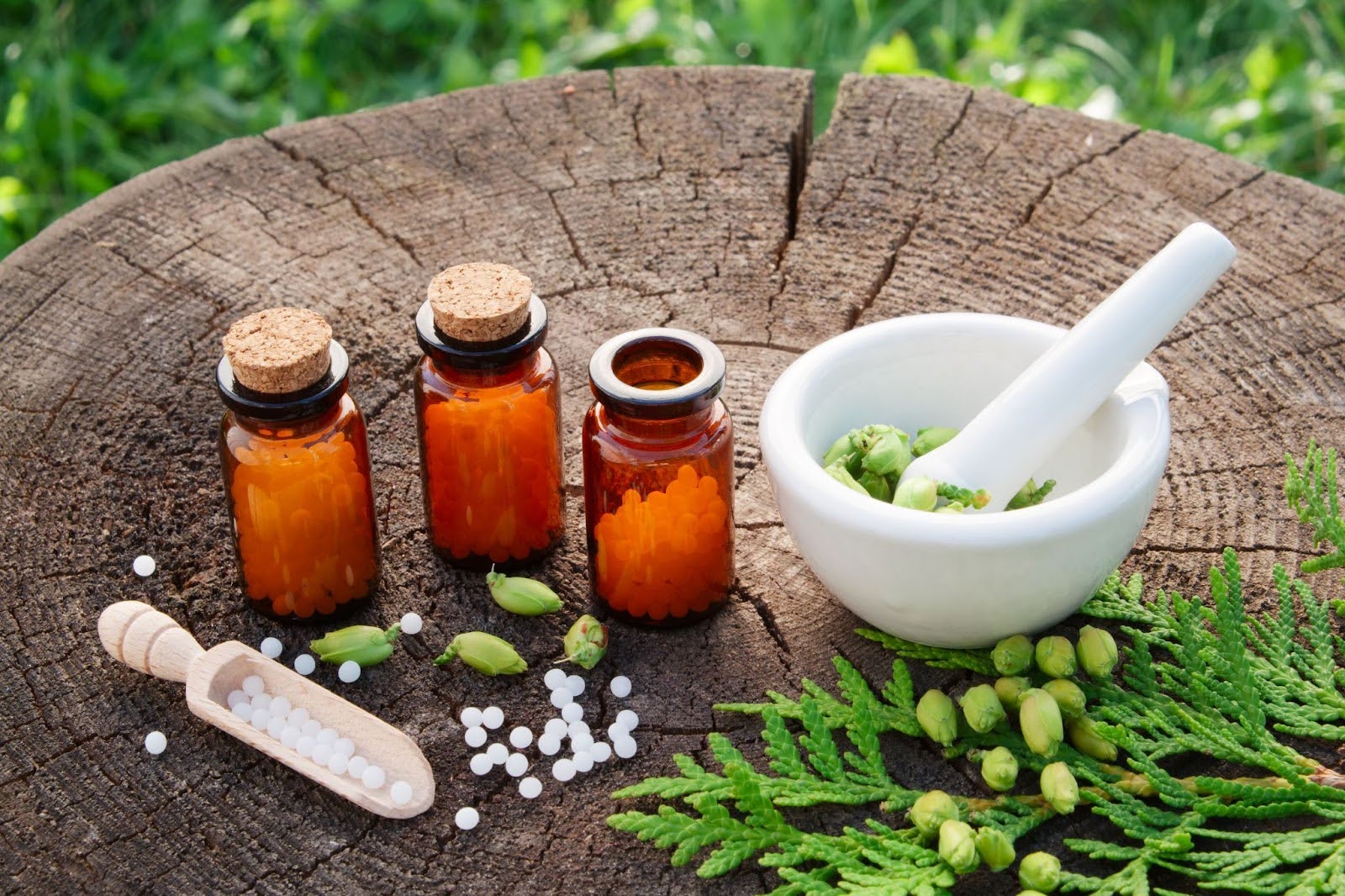 Homeopathic medicine on a wooden log