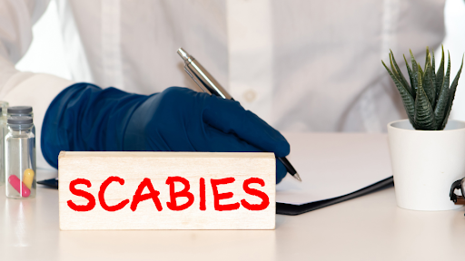 Scabies vs Eczema: How to Know What You Have