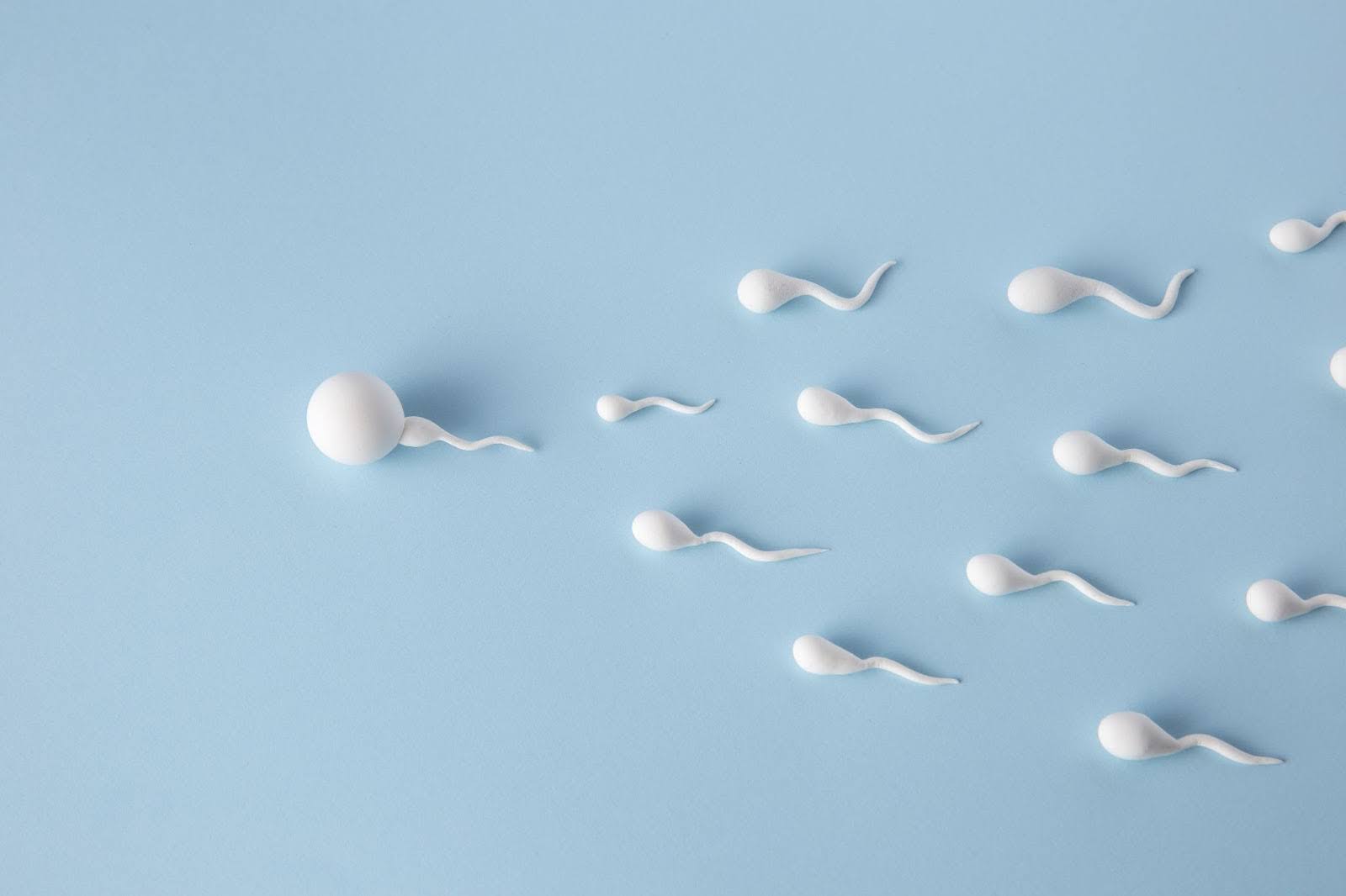 spermatozoa with blue background