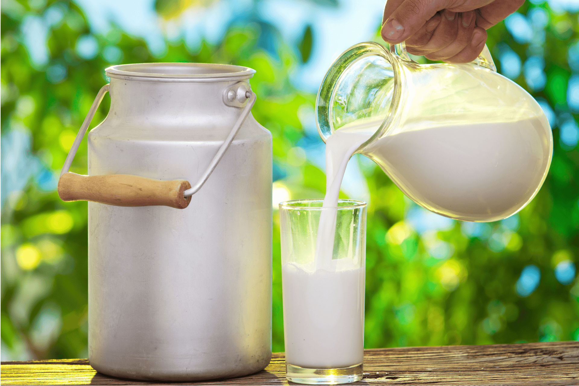 Person pouring milk from a glass jug into a glass beside a metal milk container.