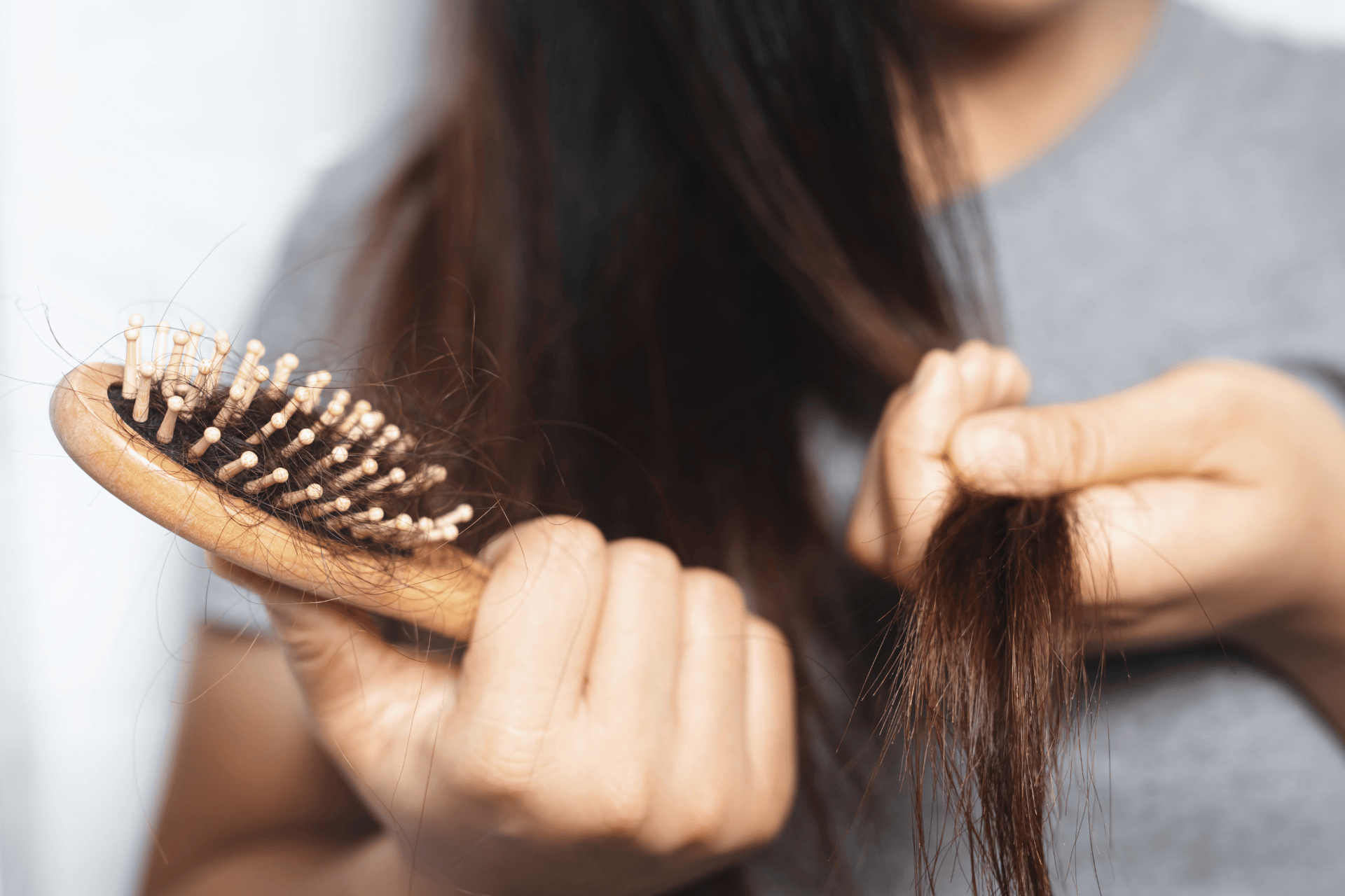 Person holding a hairbrush with loose hair strands caught in the bristles