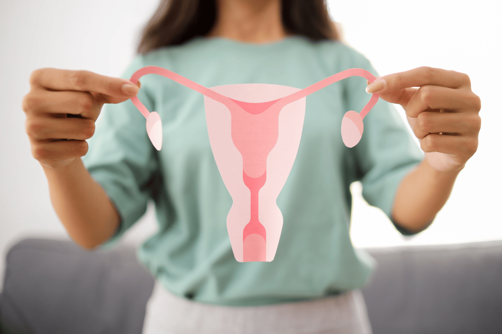 Illustration of the female reproductive system representing women’s reproductive health.