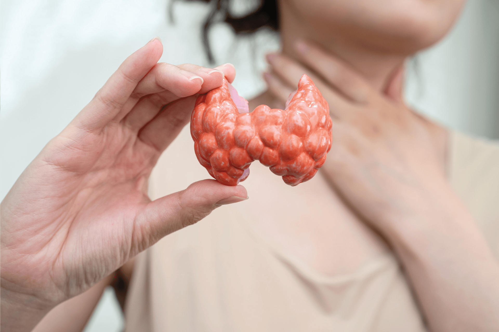 Person holding a thyroid gland model while touching their neck.