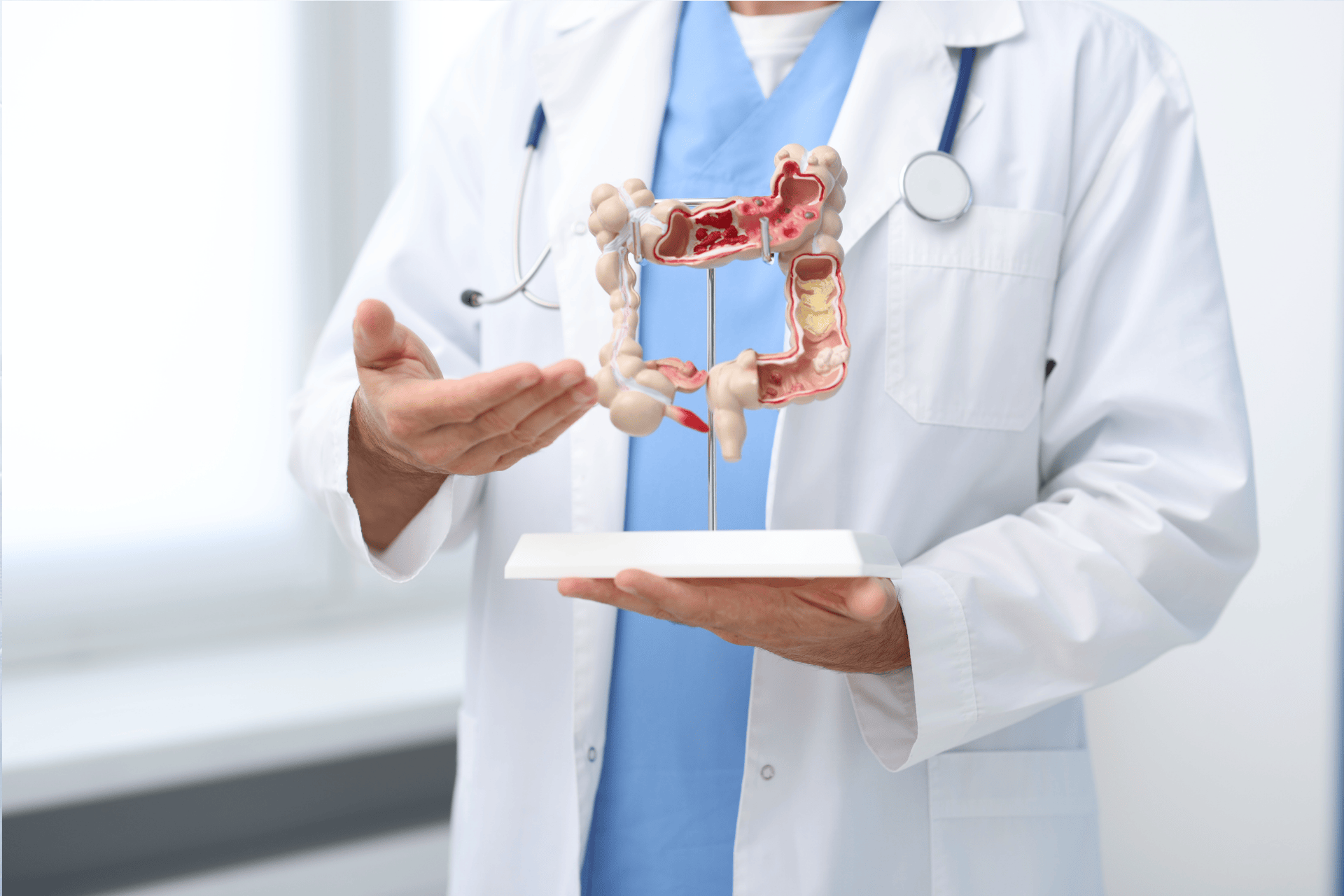 Doctor holding and explaining a model of the human colon.